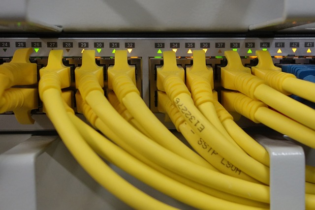 Les câbles Ethernet Cat6, pour des connexions réseau à haute performance